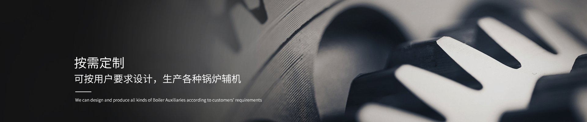 链条炉排 链条炉排