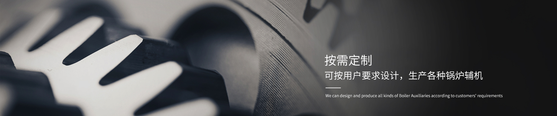 链条炉排 链条炉排